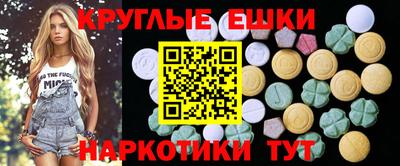 дживик Можга