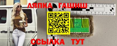 дживик Можга