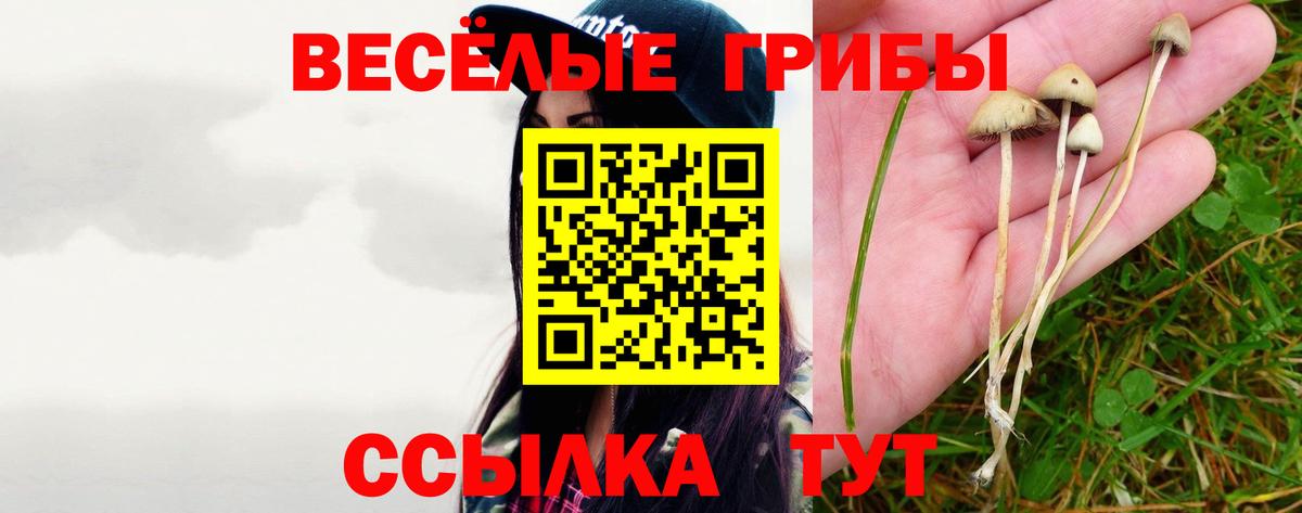 Псилоцибиновые грибы Magic Shrooms  Вход с VPN  Липецк 